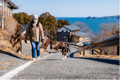 愛犬と散歩