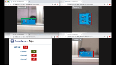 Gemini eye for Edgeの判定の様子