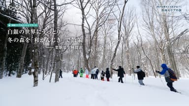 「旅色FO-CAL」岩手県特集　県南エリアの旅　栗駒原生林探索