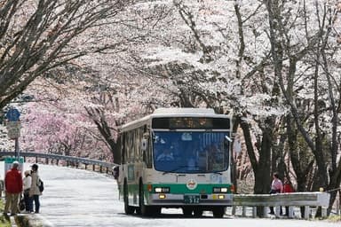 吉野山を走る臨時バス