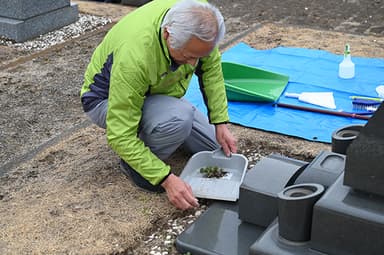 墓所内の草取り