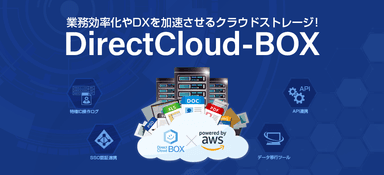 DirectCloud-BOX