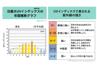 3月から紫外線対策が必要