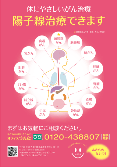 (3)パンフレット