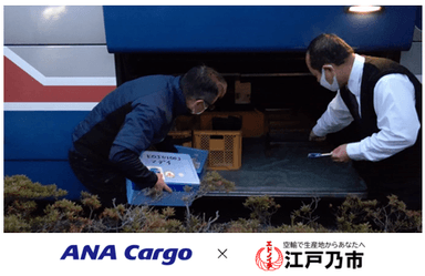 ANACargo × エドノイチ「貨客混載」