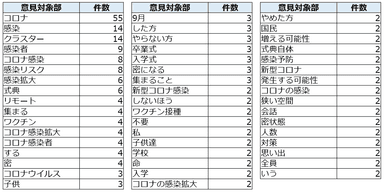 図3（意見タグ）