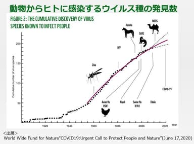 動物からヒトに感染するウイルス種の発見数