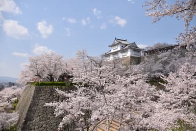 津山城・鶴山公園