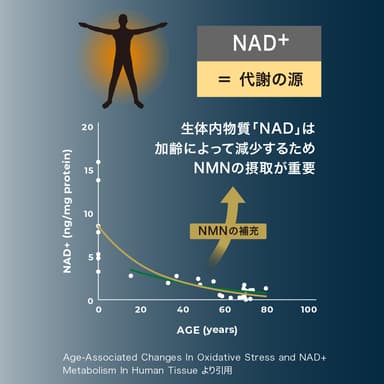 NAD＋について