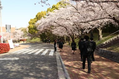 令和3年度入学式