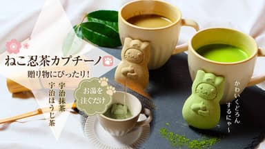 かわいいねこ忍茶がドロンと変身！