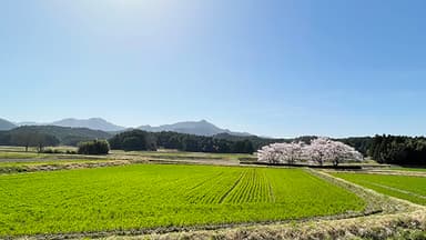 櫟野田園風景