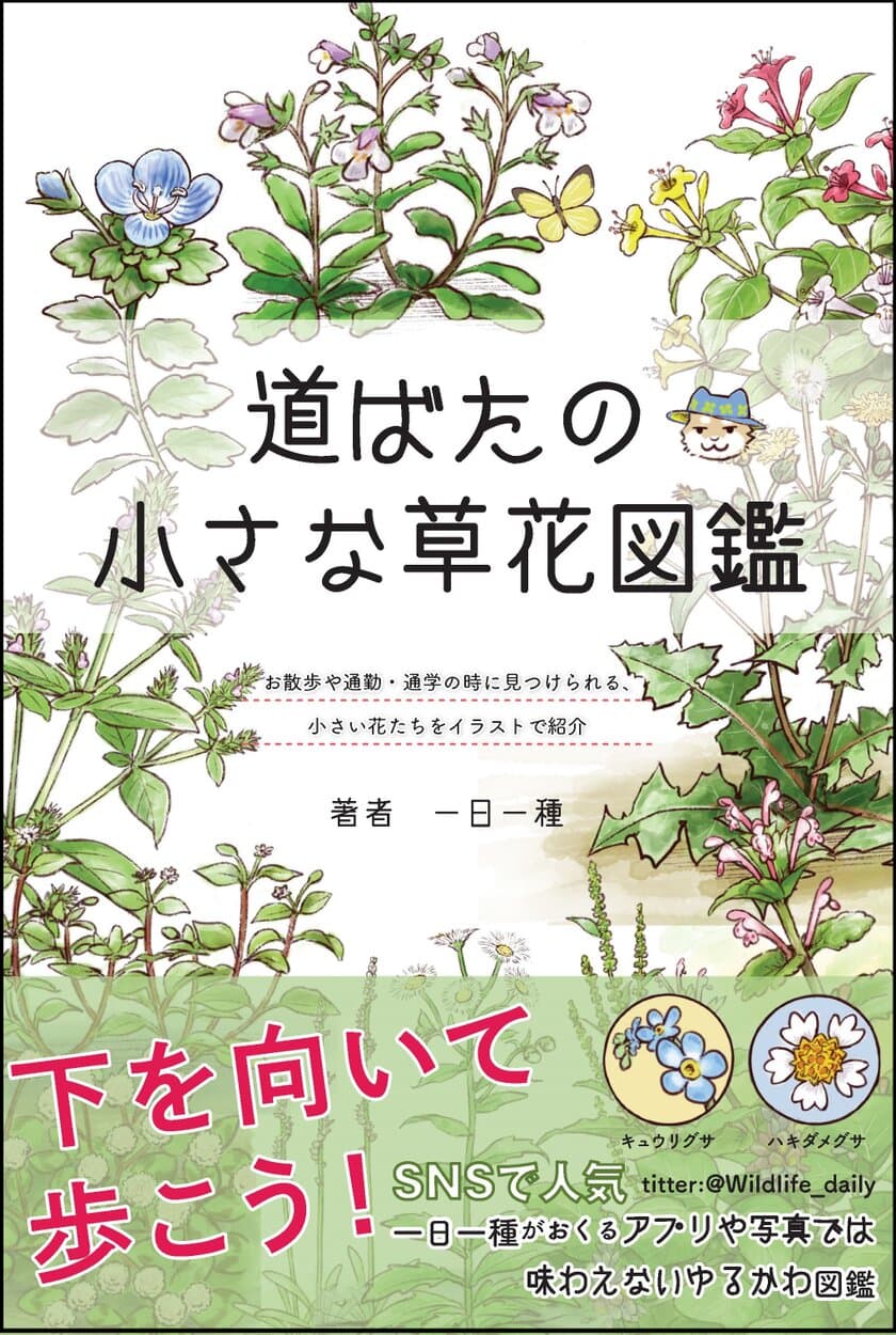 下を向いて歩こう!【道ばたの小さな草花図鑑】新刊　
2021年4月13日発売！