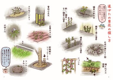 普段目にする草花のことが、手に取るようにわかる。見分け方もバッチリ！