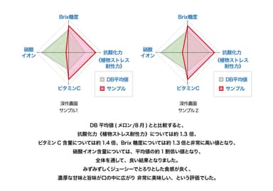 メロン分析結果