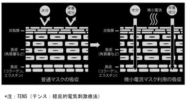 4-TENS図