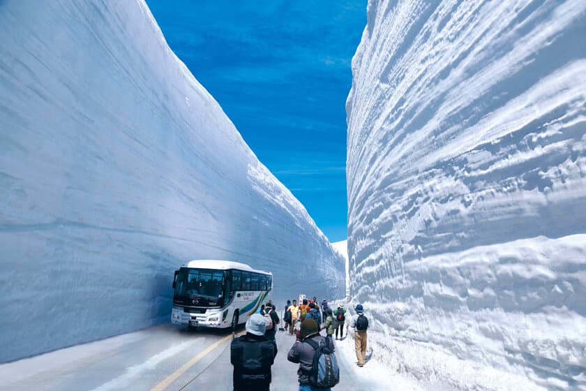 全線開業50周年の立山黒部アルペンルート、
2021年の「雪の大谷」の高さは14m！