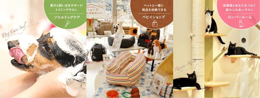 ペットグッズ通販「ペピイ」より初のリアル店舗
『PEPPY SPACE』を大阪市に4月16日オープン！