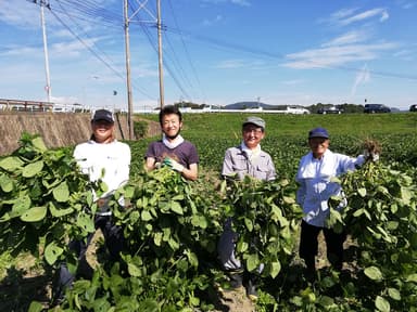 現地収穫体験も可能です