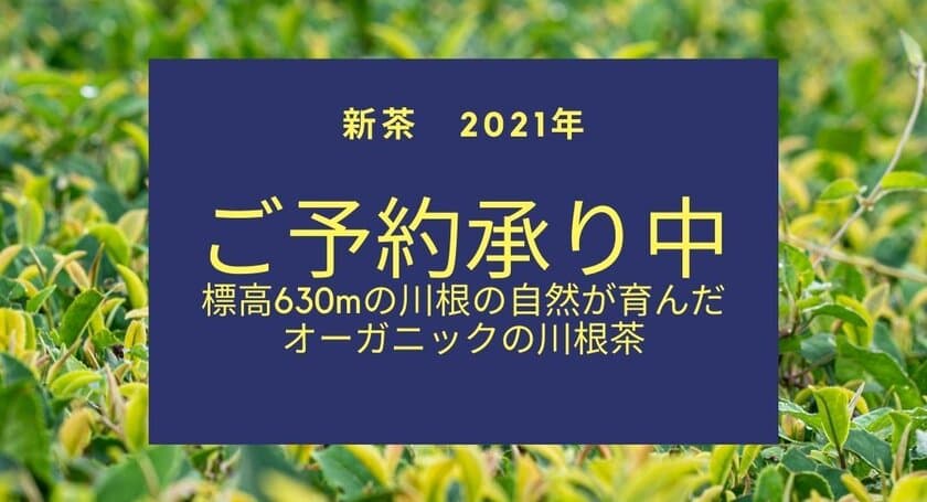 【2021年新茶】『馥 初摘み』、『ドリップティーセット』、
『新月茶』、『満月茶』の予約販売を開始！
標高630mの川根の自然が育んだ、オーガニックの川根茶