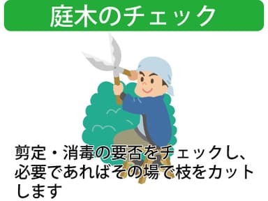 庭木のチェックと枝切り