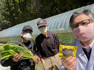 赤根ほうれん草生産者