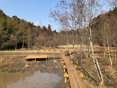 除草され、歩道が整備された様子