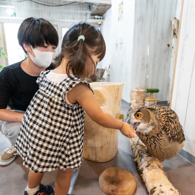 お子様も楽しめる餌やり体験！