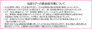 当該ツアーの感染症対策について