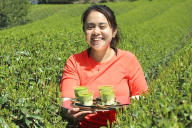 茶畑から食卓へ