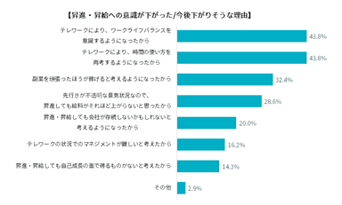 昇進・昇給への意識が下がった／今後下がりそうな理由