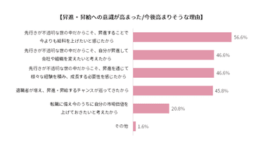 昇進・昇給への意識が高まった／今後高まりそうな理由