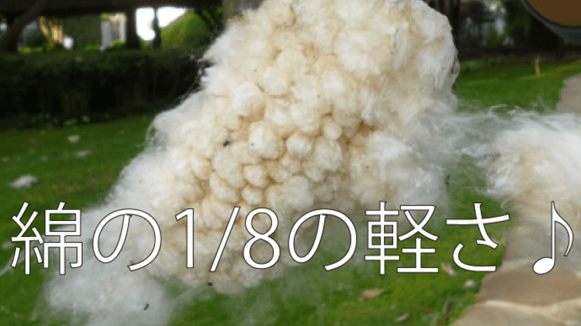 驚異の天然繊維「カポック」を使用した
軽くてエコなカットレングスパンツ　
Makuakeにて5月5日(水・祝)より販売開始！