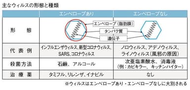 主なウイルスの形態と種類