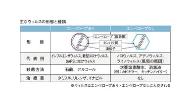 主なウイルスの形態と種類