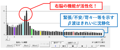 2021年4月5日にセルシネ・エイム研究所　和田様監修のもと測定した結果画面