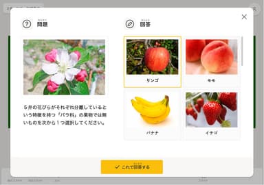 画像による選択肢から回答してもらう問題