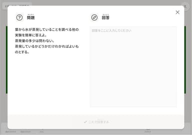 テキスト自由入力で回答してもらう問題