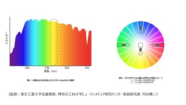 なぜポジカ(TM)フィルムを使うと世界が美しく見えるのか？