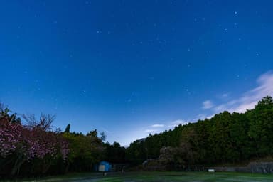 夜は…満天の星