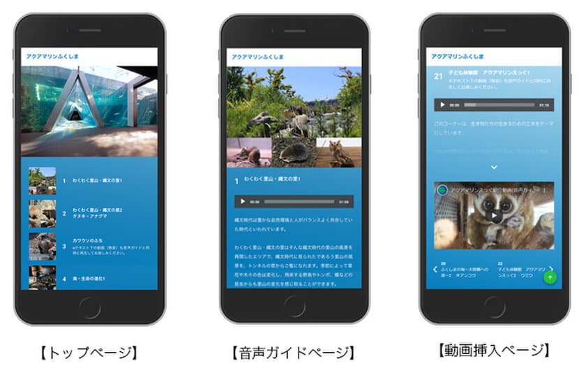 東北最大級の楽しく学べる体験型水族館
「アクアマリンふくしま」の
スマホ音声ガイドサービスを制作し、リリース