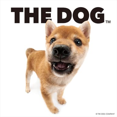 THE DOG シバ