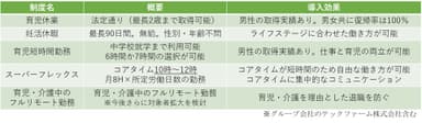 テックファームホールディングスの多様な働き方を支える主な制度