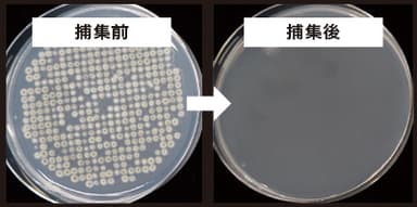 浮遊真菌の除去性能評価試験結果