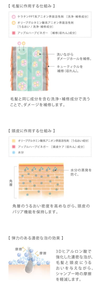 コタクチュール シャンプー 共通配合成分