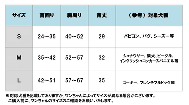 サイズ表