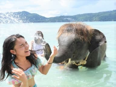 水遊びが大好きなゾウ