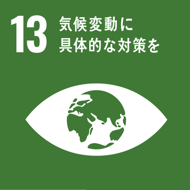 SDGs_13