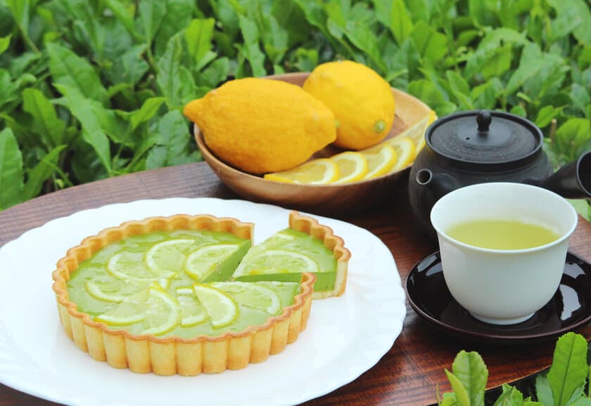 京都和束産新茶＆レモンのフレッシュなコンビ！
期間限定「レモン煎茶ヨーグルトアイスチーズケーキ」の
オンライン販売を5月26日より開始