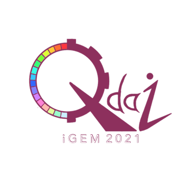 ●iGEM Qdaiロゴ